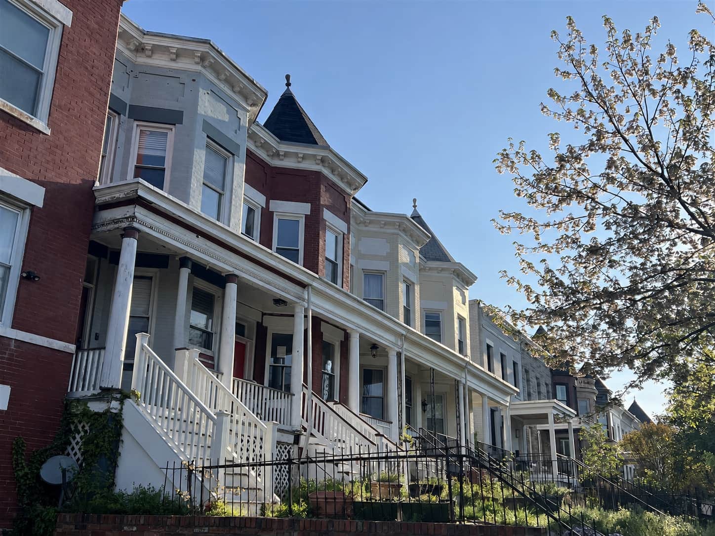 Historic brick rowhouses with flat roofs and cornices on a tree-lined Washington DC street
